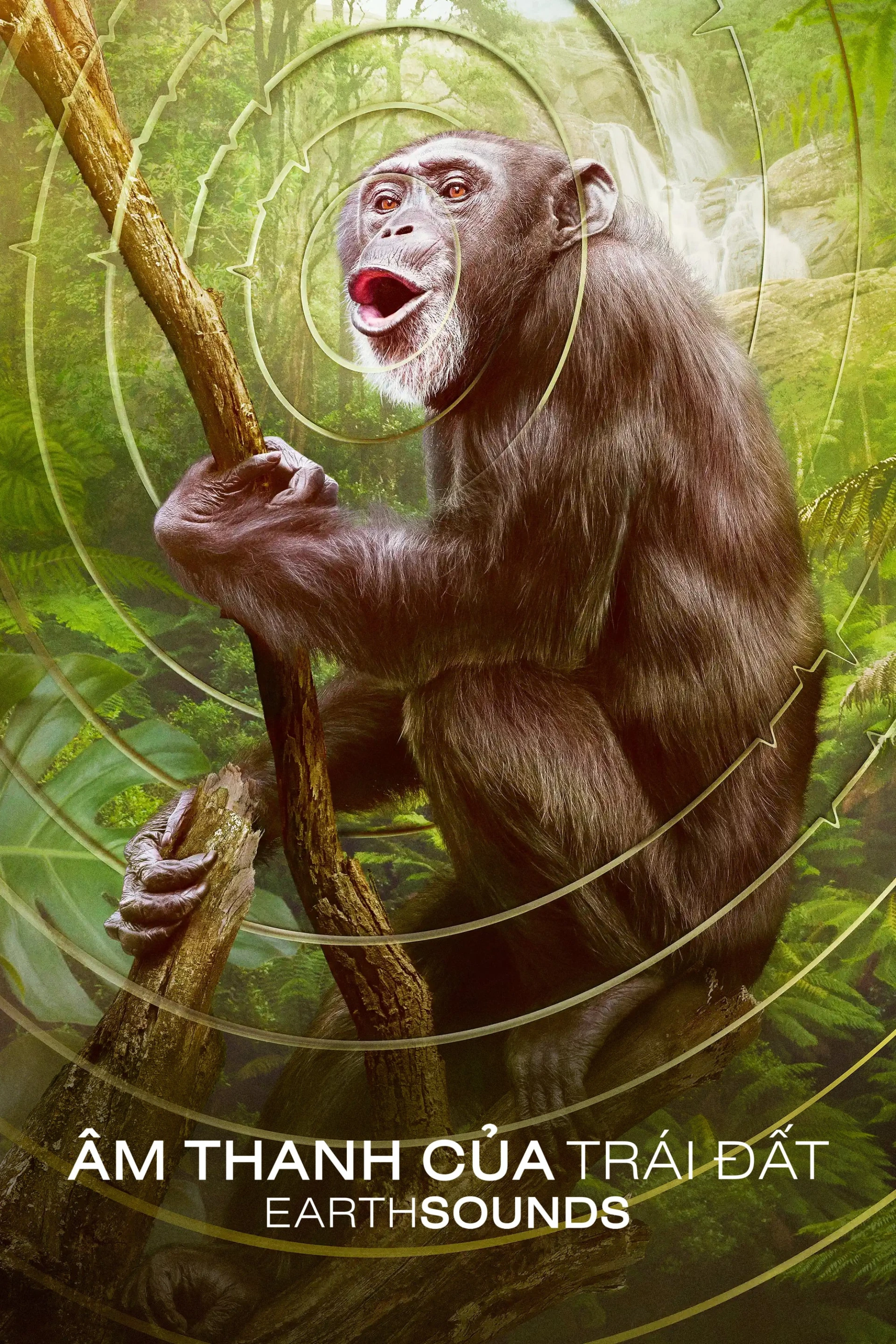 Âm Thanh Của Trái Đất - Earthsounds Earthsounds