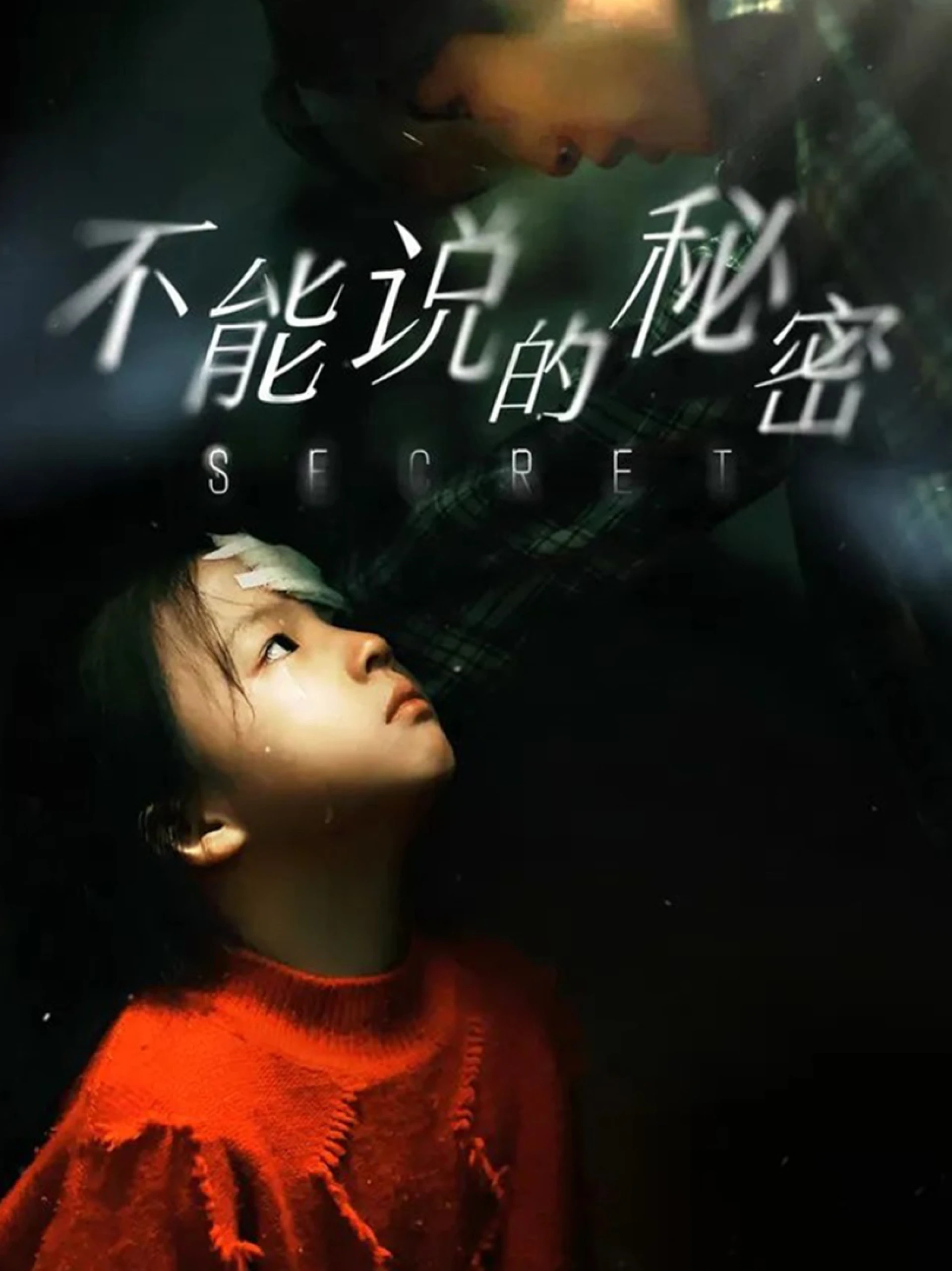 Bí Mật Không Thể Nói 不能说的秘密