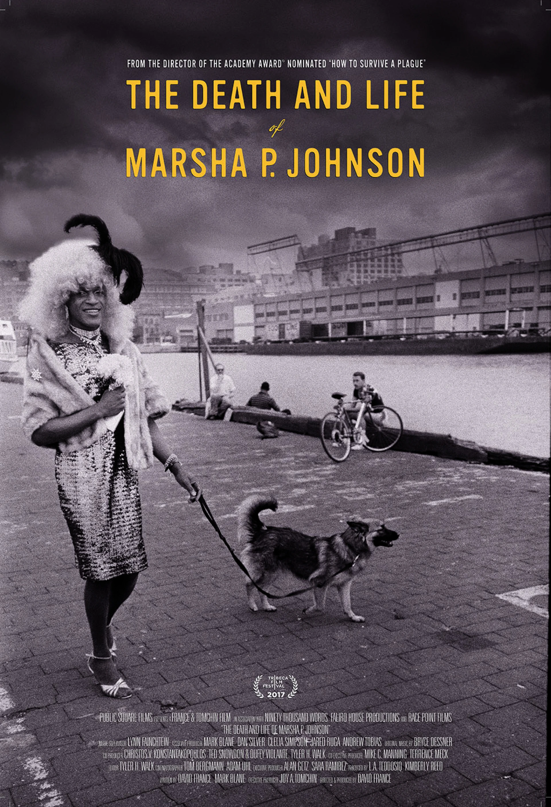 Cuộc đời và cái chết của Marsha P. Johnson The Death and Life of Marsha P. Johnson