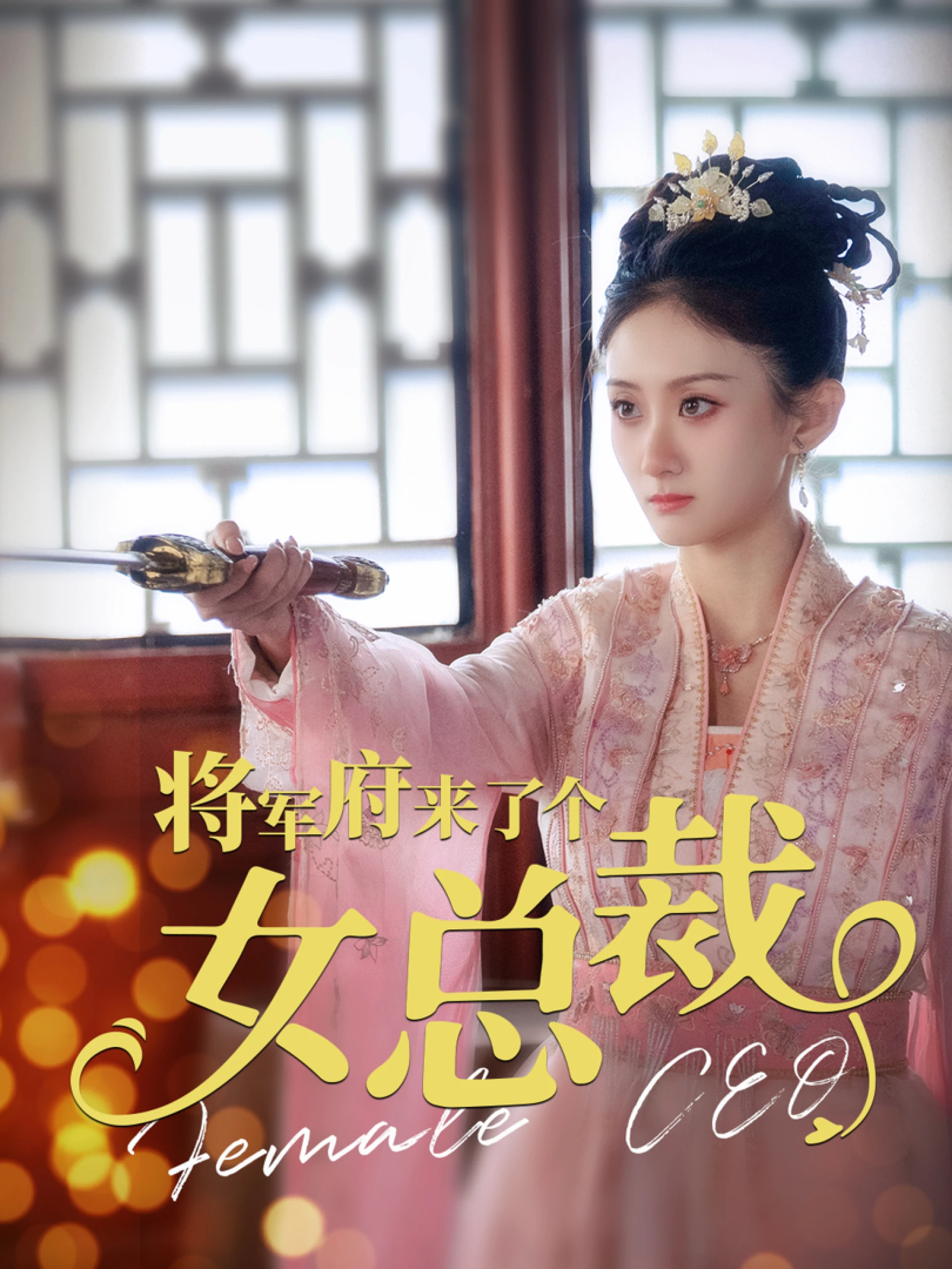 Một Nữ Tổng Giám Đốc Đến Dinh Thự Tướng Quân 将军府来了个女总裁