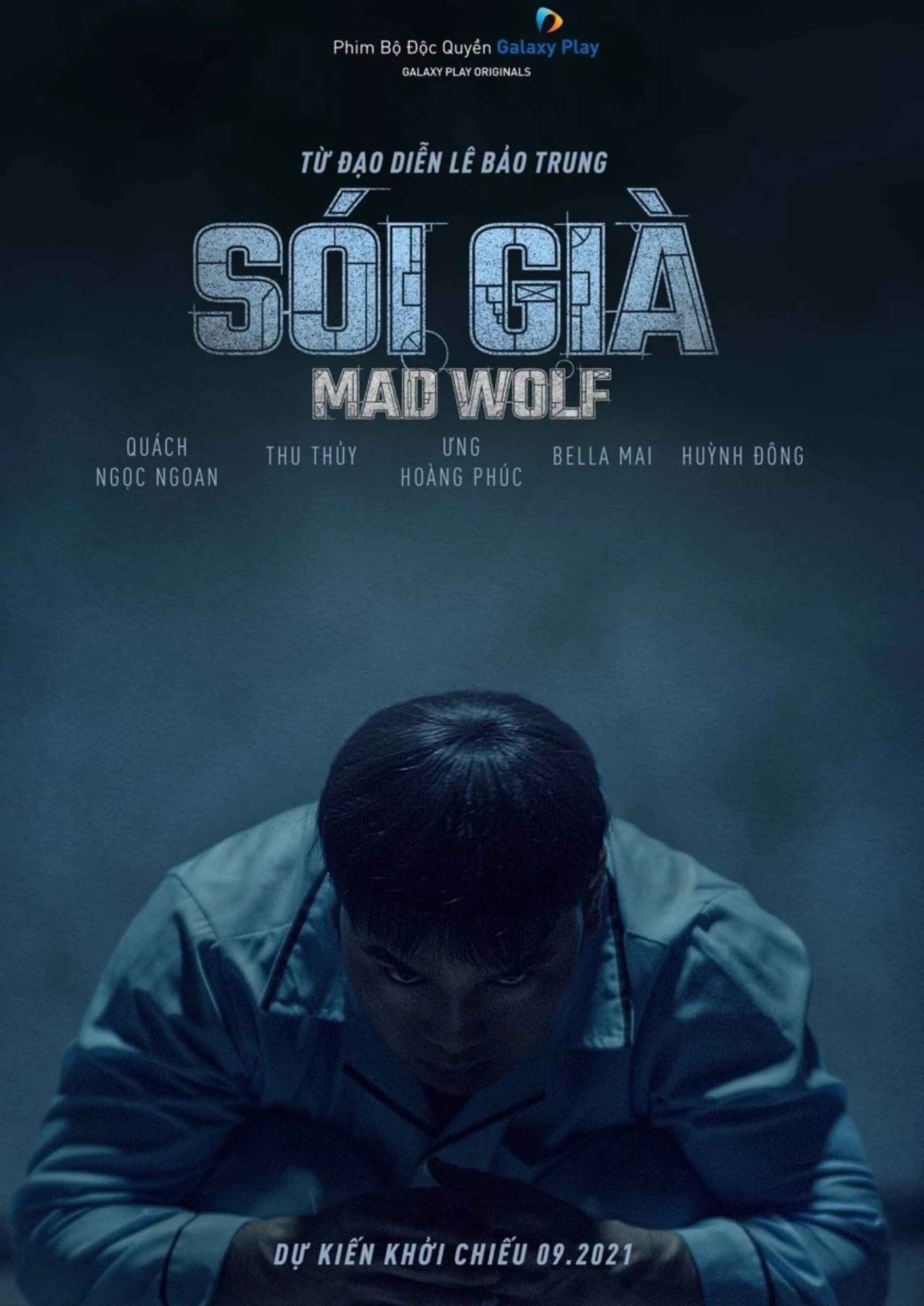 Sói Già Mad Wolf