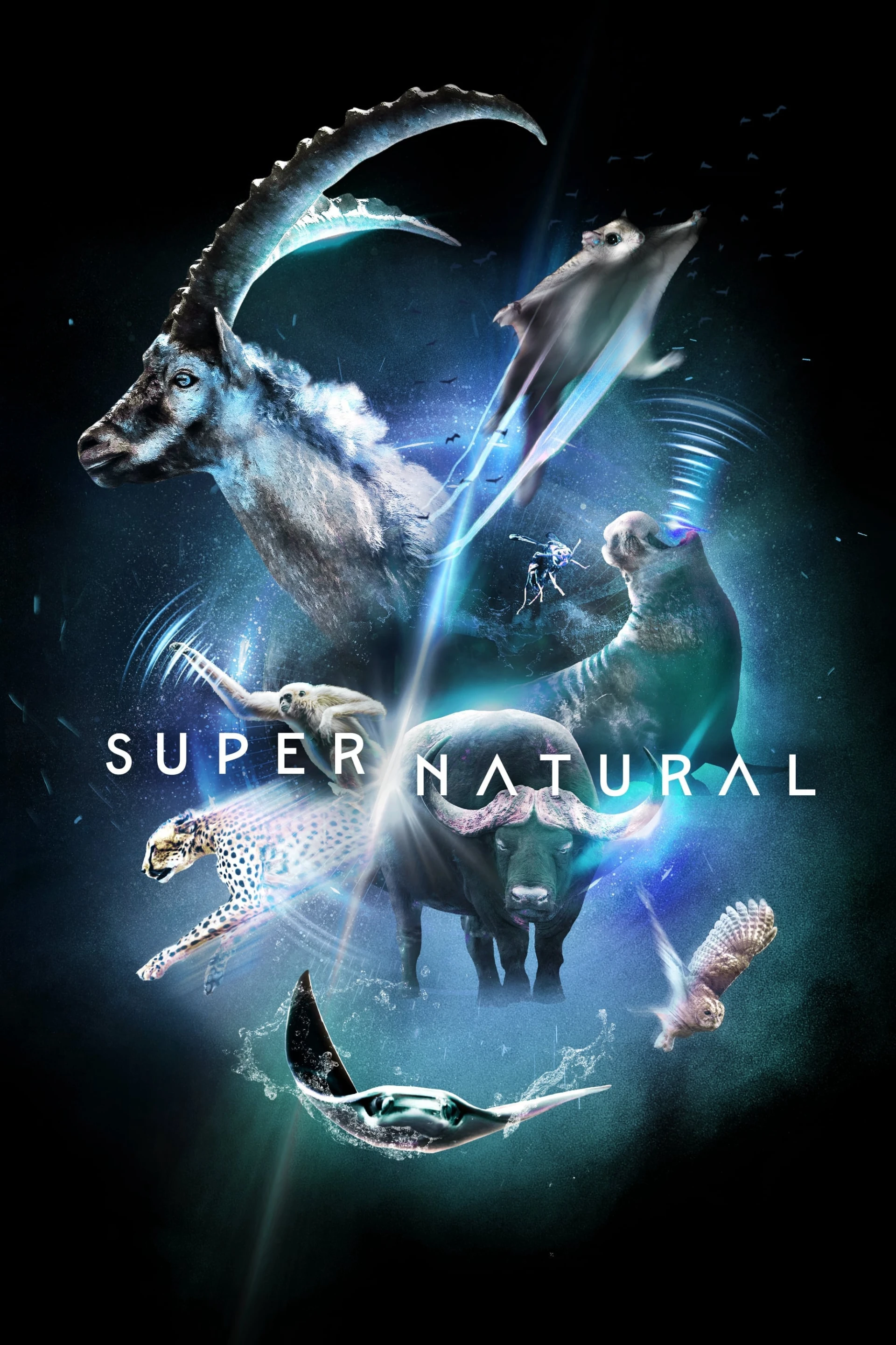 Super/Natural Super/Natural