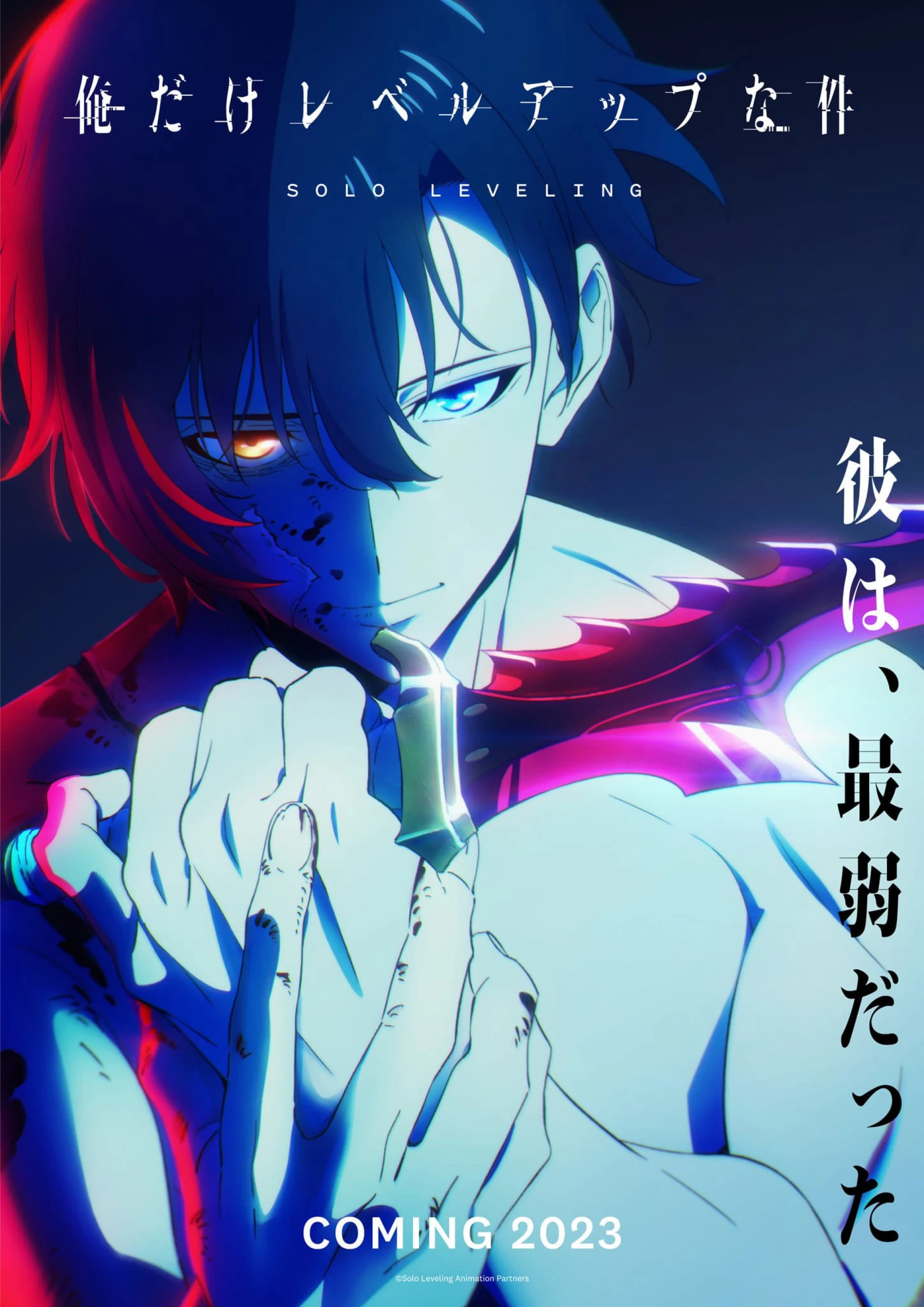 Thăng Cấp Một Mình Chỉ mình tôi thăng cấp, Solo Leveling