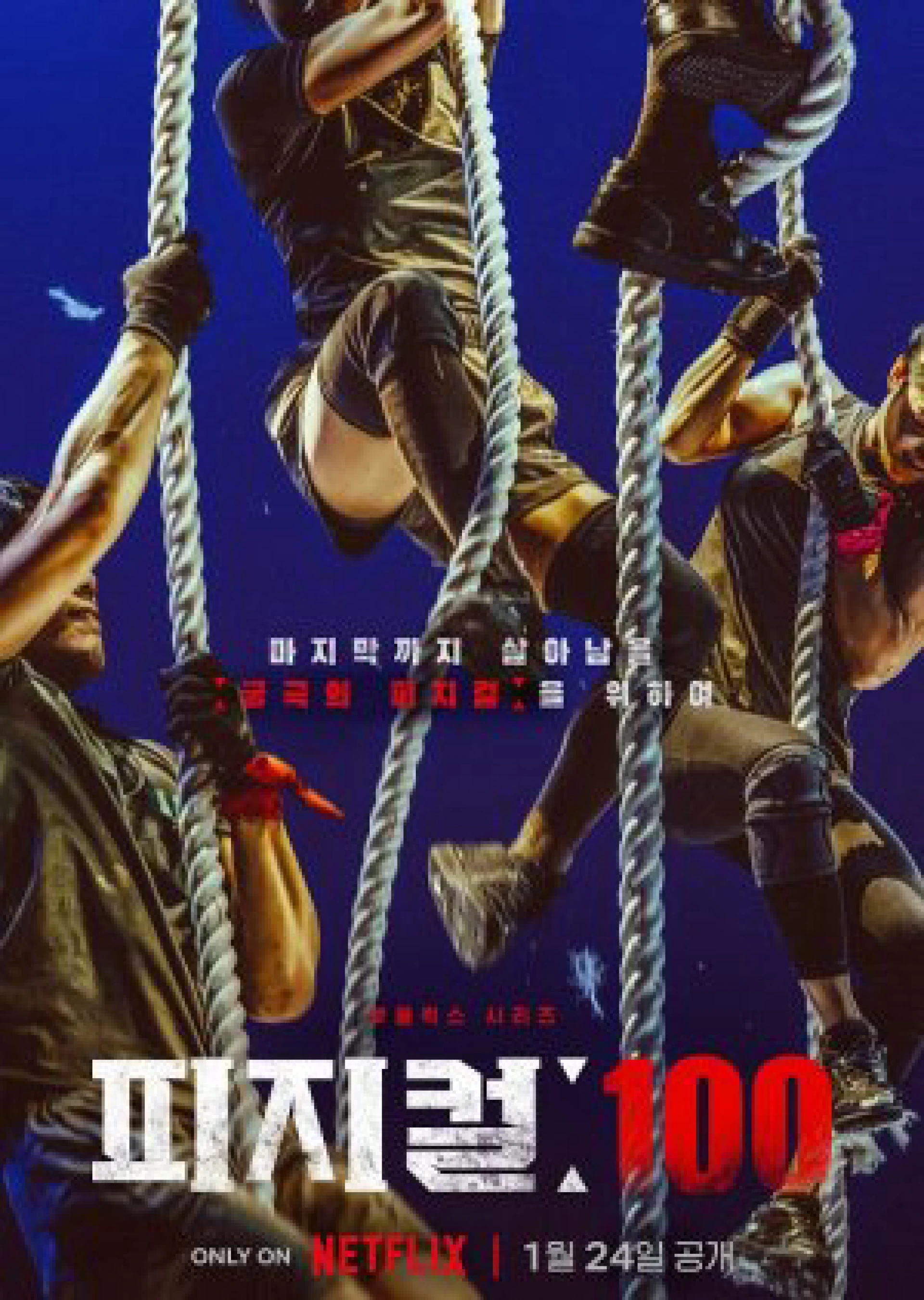 Thể chất: 100 Physical: 100