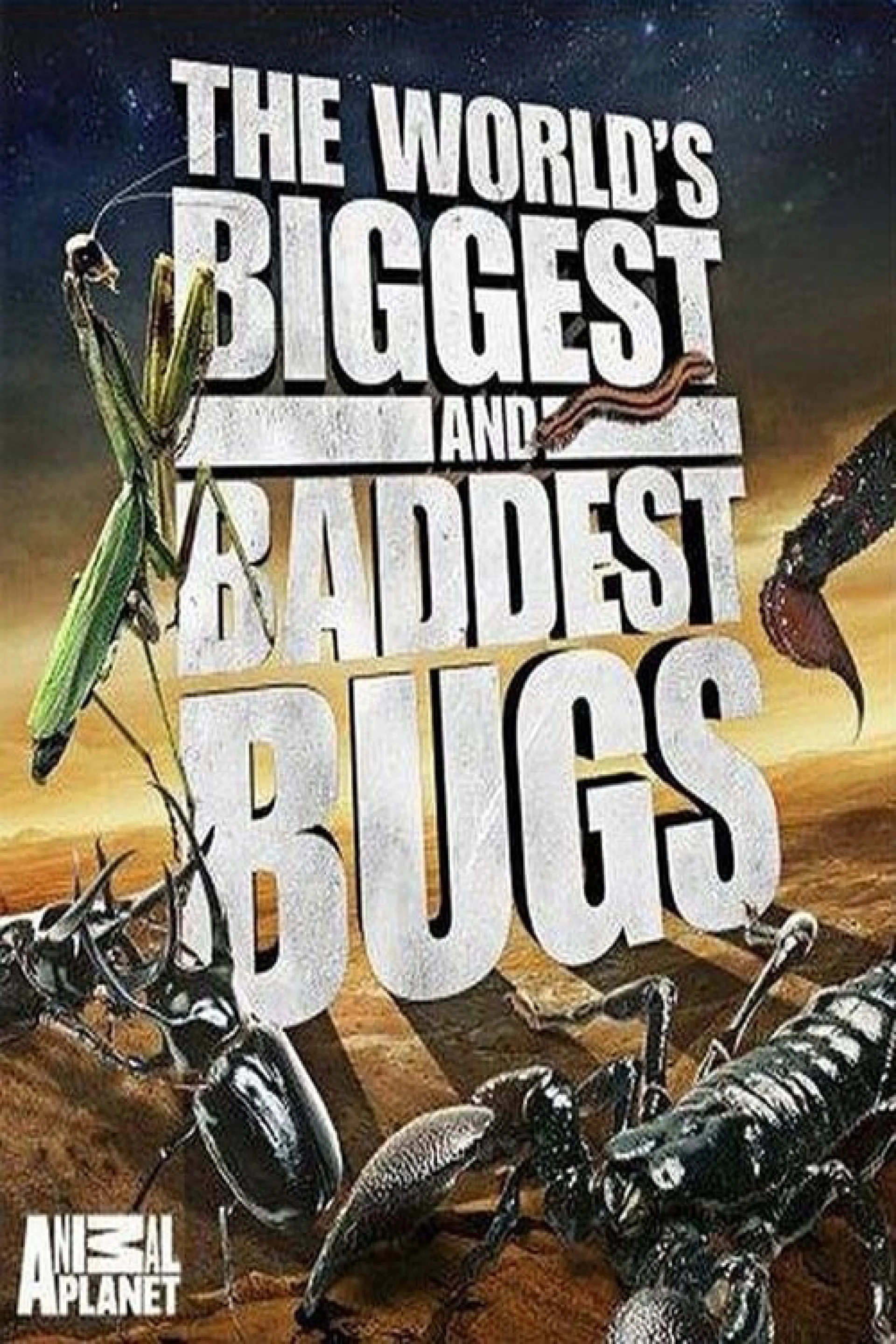 Thế Giới Côn Trùng Khổng Lồ và Nguy Hiểm The World's Biggest and Baddest Bugs