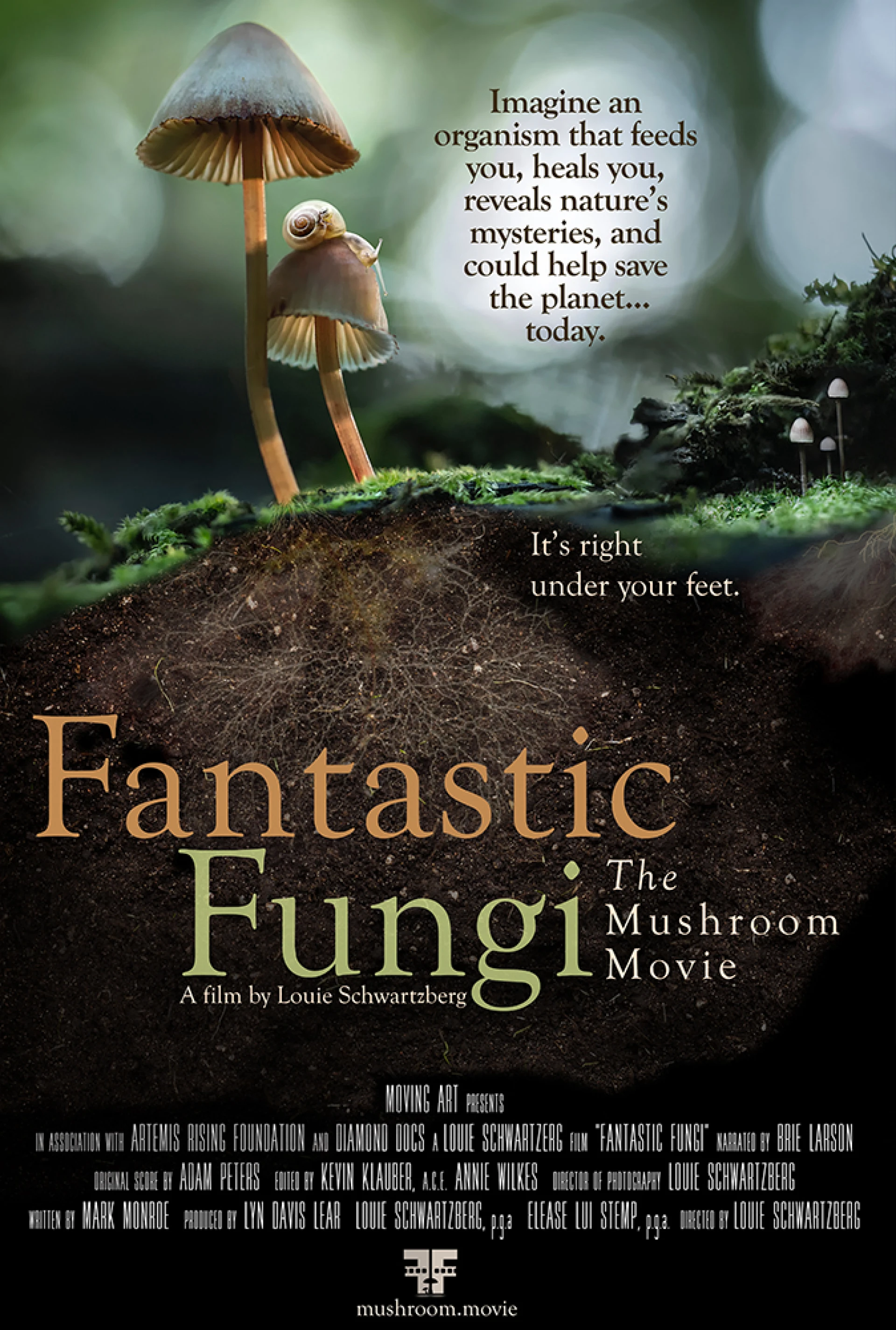 Thế giới nấm diệu kỳ Fantastic Fungi