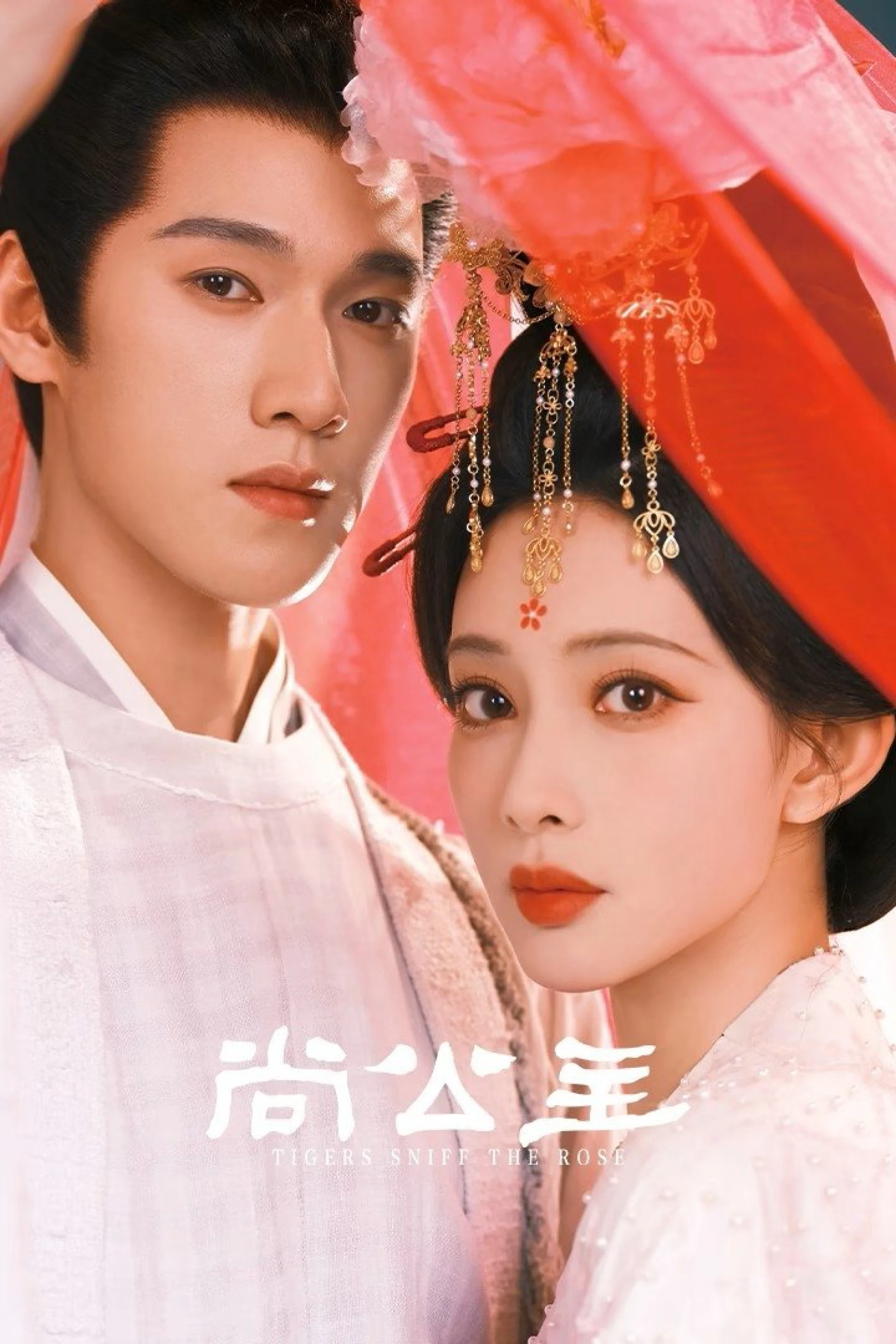 Thượng Công Chúa Tigers Sniff the Rose