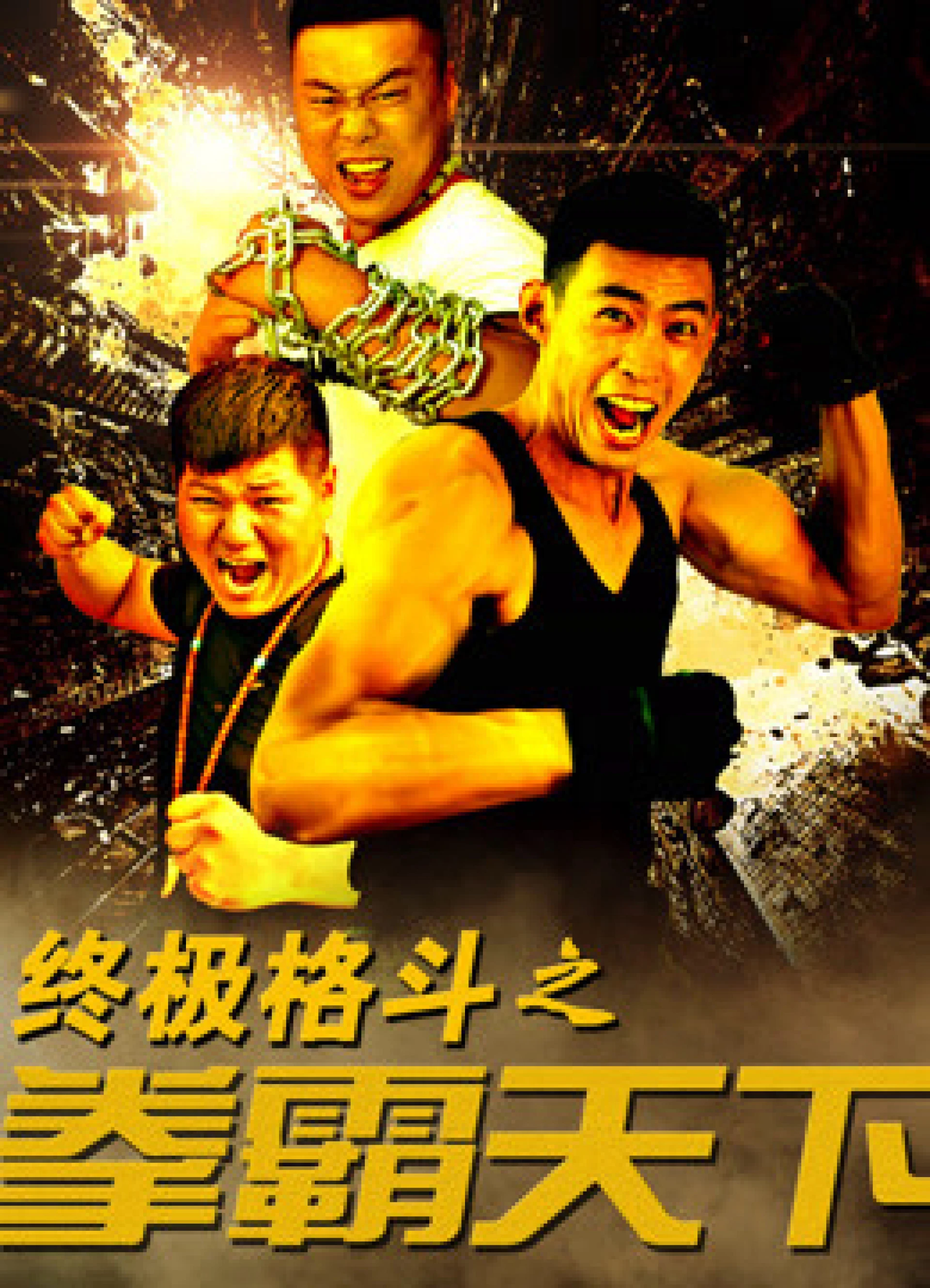 Vật lộn đến cùng The Ultimate Fight